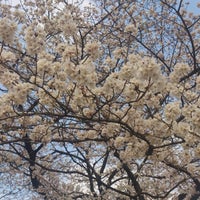 Photo taken at 城北中央公園 散歩道 by Dai T. on 3/24/2013