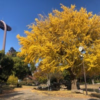 Photo taken at 平塚市総合公園 by gardenpapa on 11/24/2023