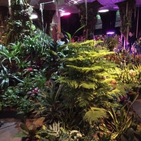 Photo taken at Lowline Lab by Leah J. on 2/26/2017