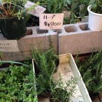 ユー花園 下北沢本店 Youkaen 生花店