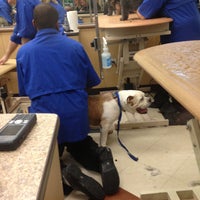 Photo taken at PetSmart by Angie G. on 5/4/2013