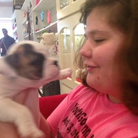 Photo taken at Pocket Puppies by Angie G. on 7/15/2013
