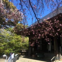 Photo taken at 九品仏浄真寺 by Tetsuhiko T. on 4/11/2019