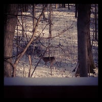 Photo taken at Noel Forest by Victoria D. on 12/25/2012