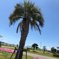 ラグーナビーチ 大塚海浜緑地 Beach ラグーナビーチ 大塚海浜緑地 Beach