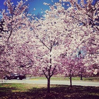 Forest Hill Section - North Newark - Forest Hill - Newark, NJ