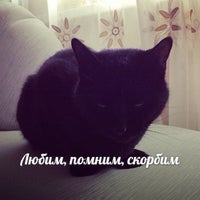 Photo taken at Дом кота Мурзика и его друзей by Dmitriy P. on 12/29/2012