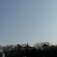 Photo taken at Heiwa Park by Masayukin G. on 3/15/2024
