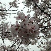 くろがねや 成城店 砧 14 Tips くろがねや 成城店 砧 14 Tips