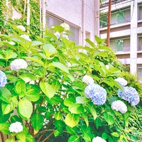 Photo taken at 千駄ヶ谷日本語学校 by Cherry K. on 6/9/2021