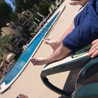 calça de onça 2018