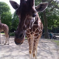 Снимок сделан в Zoo Antwerpen пользователем Thomas E. 4/28/2013