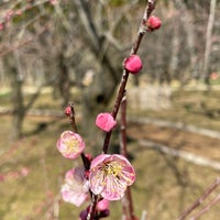 万博記念公園 日本庭園前駐車場 吹田市 大阪府 万博記念公園 日本庭園前駐車場 吹田市 大阪府