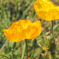 花の里フローラルビレッジ名倉 南房総市 19 Visitors 花の里フローラルビレッジ名倉 南房総市 19 Visitors