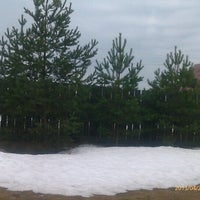 Дворищи. Дворищи кировская область. Дворищи кировская область. Деревня клинено новгородская область. Дворищи кировская область.