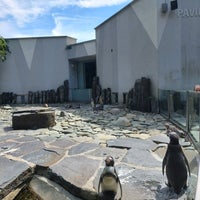 Photo taken at Pavilion of Penguins by A F. on 8/6/2022