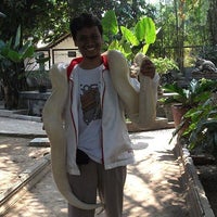 Taman Reptil Balekambang Zoo In Surakarta