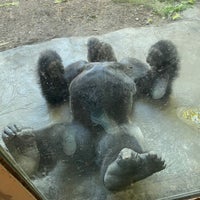 Photo taken at Dallas Zoo by Ju S. on 9/6/2022