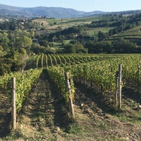 Foto scattata a IL VINAINO DI GREVE da Radek H. il 10/11/2019