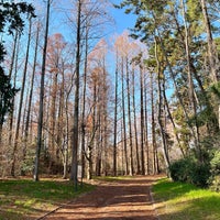 Photo taken at Nagai Botanical Garden by fujitaka on 1/7/2024