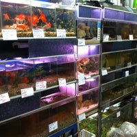 Photo taken at Pet Shop Canto Lindo by JR F. on 10/31/2012