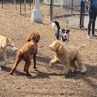Photo taken at Marcus Garvey Park - Dog Run by Nia on 3/27/2021
