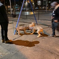 Photo taken at Marcus Garvey Park - Dog Run by Nia on 3/9/2021