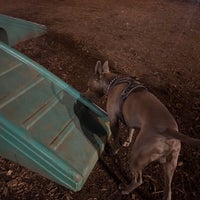 Photo taken at Marcus Garvey Park - Dog Run by Nia on 3/27/2021