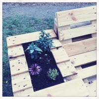 Karls Garten Wieden Karlsplatz