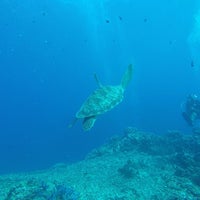 Photo taken at Manta Dive by Marina N. on 6/11/2017