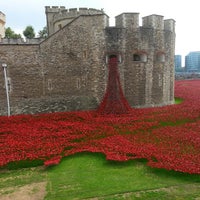 Photo taken at Blood Swept Lands and Seas of Red - Tower of London WW1 Poppy Memorial by &amp;#39;Hels&amp;#39; on 9/3/2014