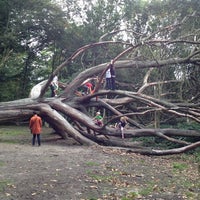 Photo taken at Hampstead Heath Broken tree by Elif Y. on 10/5/2013
