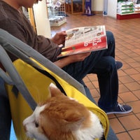 vca southeast animal hospital