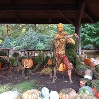Photo taken at Haunted Pumpkin Garden At NY Botanical Garden by Bridget F. on 10/27/2012