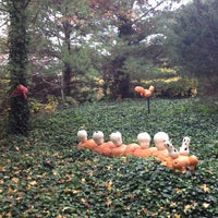 Photo taken at Haunted Pumpkin Garden At NY Botanical Garden by Bridget F. on 10/27/2012