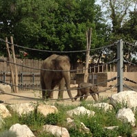 Photo taken at Budapest Zoo by Erzsébet T. on 5/2/2013