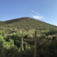 8/24/2023にJonahがJW Marriott Tucson Starr Pass Resort &amp;amp; Spaで撮った写真