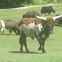 รูปภาพถ่ายที่ Parco Safari delle Langhe โดย Tommaso C. เมื่อ 6/24/2013