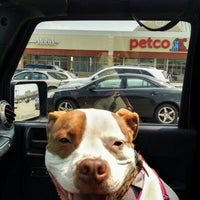 petco frandor
