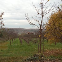 Photo taken at Babérliget by Janos P. on 11/12/2022