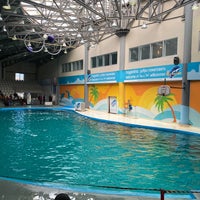 Photo taken at Dolphinarium by ALI A. on 1/26/2020
