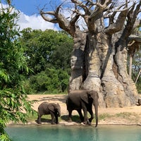 Photo taken at Kilimanjaro Safaris by Keith C. on 10/7/2018