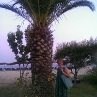 Шампанское Новый Свет Paradisio Купить