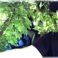 Lurvey Landscape Supply Garden Center Des Plaines Il