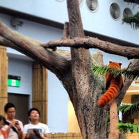 Photo taken at Tram Stop 2 @ Singapore Zoo by Joseph Bryan D. on 2/17/2013