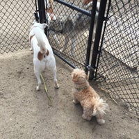 Photo taken at Bijou Dog Park by Henry P. on 3/20/2016