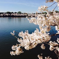 Photo taken at Potomac River Running Path by Tomoko O. on 4/12/2015