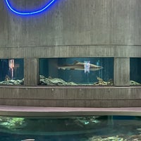 Foto diambil di National Aquarium oleh Rolling Stone pada 3/3/2024