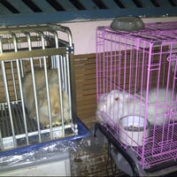 Photo taken at BB Petshop and Grooming Centre by ♕Wilma Y. on 9/18/2012