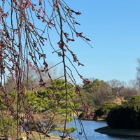 Photo taken at Missouri Botanical Garden Japanese Garden by Eric W. on 3/6/2024